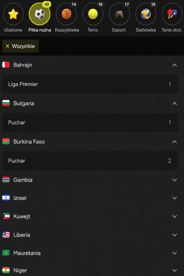 Sekcja sportowa strony z zakładami